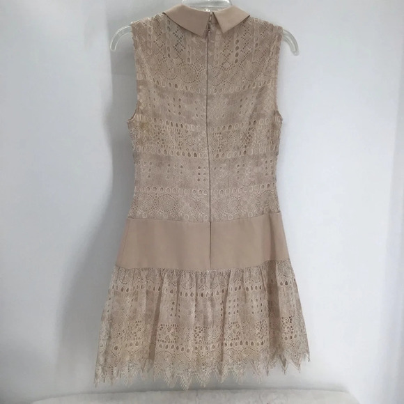 BCBGMAXAZARIA Marsha Delicate Lace Drop Waist Pan Collar Champagne Size 2 - Picture 3 of 9